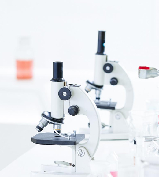 全面的研发应用能力